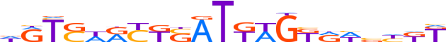 ZNF772.H13INVITRO.0.PG.A motif logo (ZNF772 gene, ZN772_HUMAN protein)