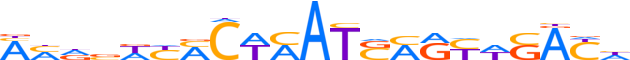 ZNF772.H13INVITRO.0.PG.A reverse-complement motif logo (ZNF772 gene, ZN772_HUMAN protein)