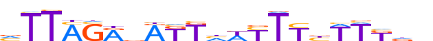 ZNF79.H13INVITRO.0.P.D reverse-complement motif logo (ZNF79 gene, ZNF79_HUMAN protein)