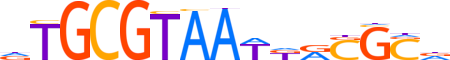 ZNF800.H13INVITRO.0.PSG.A motif logo (ZNF800 gene, ZN800_HUMAN protein)