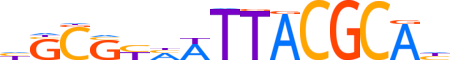 ZNF800.H13INVITRO.0.PSG.A reverse-complement motif logo (ZNF800 gene, ZN800_HUMAN protein)