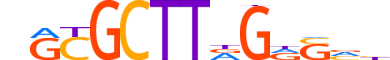 ZNF853.H13INVITRO.0.SG.A motif logo (ZNF853 gene, ZN853_HUMAN protein)