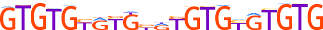 ZNF865.H13INVITRO.0.PSG.A motif logo (ZNF865 gene, ZN865_HUMAN protein)