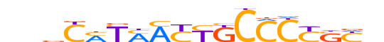 ZSC31.H13INVITRO.1.SM.B reverse-complement motif logo (ZSCAN31 gene, ZSC31_HUMAN protein)