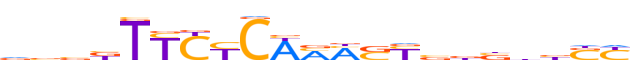 ZSCAN12.H13INVITRO.0.P.D motif logo (ZSCAN12 gene, ZSC12_HUMAN protein)