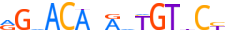 ANDR.H13INVITRO.0.P.B motif logo (AR gene, ANDR_HUMAN protein)