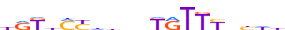 ANDR.H13INVITRO.2.P.B motif logo (AR gene, ANDR_HUMAN protein)