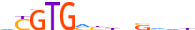 ARNT2.H13INVITRO.0.P.B motif logo (ARNT2 gene, ARNT2_HUMAN protein)