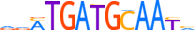 ATF4.H13INVITRO.0.P.B motif logo (ATF4 gene, ATF4_HUMAN protein)