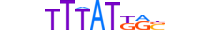 CDX1.H13INVITRO.1.S.B motif logo (CDX1 gene, CDX1_HUMAN protein)