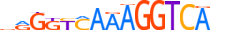 COT1.H13INVITRO.1.PSM.A motif logo (NR2F1 gene, COT1_HUMAN protein)