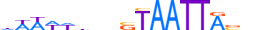 DLX4.H13INVITRO.1.S.C motif logo (DLX4 gene, DLX4_HUMAN protein)