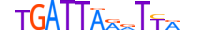 DUXA.H13INVITRO.0.SM.B motif logo (DUXA gene, DUXA_HUMAN protein)