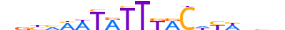 FOXA3.H13INVITRO.1.M.C motif logo (FOXA3 gene, FOXA3_HUMAN protein)