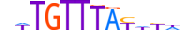 FOXC2.H13INVITRO.0.SM.B motif logo (FOXC2 gene, FOXC2_HUMAN protein)