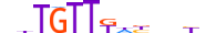 FOXP1.H13INVITRO.0.PS.A motif logo (FOXP1 gene, FOXP1_HUMAN protein)