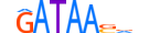 GATA1.H13INVITRO.1.PSM.A motif logo (GATA1 gene, GATA1_HUMAN protein)