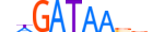 GATA2.H13INVITRO.0.PSM.A motif logo (GATA2 gene, GATA2_HUMAN protein)