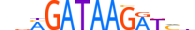 GATA3.H13INVITRO.1.SM.B motif logo (GATA3 gene, GATA3_HUMAN protein)