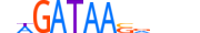 GATA6.H13INVITRO.0.PSM.A motif logo (GATA6 gene, GATA6_HUMAN protein)