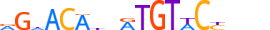 GCR.H13INVITRO.0.PS.A motif logo (NR3C1 gene, GCR_HUMAN protein)