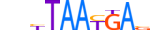 GSX1.H13INVITRO.0.SM.B motif logo (GSX1 gene, GSX1_HUMAN protein)