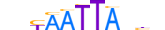 HESX1.H13INVITRO.0.SM.B motif logo (HESX1 gene, HESX1_HUMAN protein)