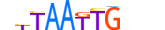 HMX3.H13INVITRO.0.S.B motif logo (HMX3 gene, HMX3_HUMAN protein)