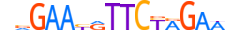 HSF1.H13INVITRO.0.PSM.A motif logo (HSF1 gene, HSF1_HUMAN protein)