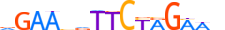 HSF4.H13INVITRO.0.SM.B motif logo (HSF4 gene, HSF4_HUMAN protein)