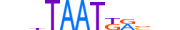 HXA6.H13INVITRO.0.SM.B motif logo (HOXA6 gene, HXA6_HUMAN protein)