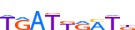 HXB4.H13INVITRO.0.P.B motif logo (HOXB4 gene, HXB4_HUMAN protein)