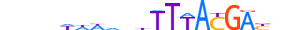 HXD11.H13INVITRO.1.SM.B motif logo (HOXD11 gene, HXD11_HUMAN protein)