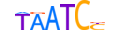 LEUTX.H13INVITRO.0.PSGB.A motif logo (LEUTX gene, LEUTX_HUMAN protein)