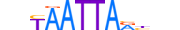 LHX4.H13INVITRO.0.SM.B motif logo (LHX4 gene, LHX4_HUMAN protein)