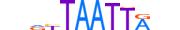 LHX5.H13INVITRO.0.PSM.A motif logo (LHX5 gene, LHX5_HUMAN protein)