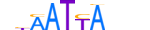 LHX6.H13INVITRO.1.S.B motif logo (LHX6 gene, LHX6_HUMAN protein)