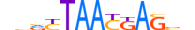 LHX6.H13INVITRO.2.M.C motif logo (LHX6 gene, LHX6_HUMAN protein)