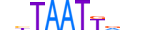 LHX9.H13INVITRO.0.PS.A motif logo (LHX9 gene, LHX9_HUMAN protein)