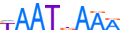 LMX1B.H13INVITRO.0.P.C motif logo (LMX1B gene, LMX1B_HUMAN protein)