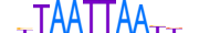 LMX1B.H13INVITRO.1.SM.B motif logo (LMX1B gene, LMX1B_HUMAN protein)