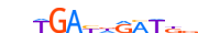 MEIS1.H13INVITRO.0.P.B motif logo (MEIS1 gene, MEIS1_HUMAN protein)