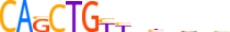 MYOD1.H13INVITRO.0.P.B motif logo (MYOD1 gene, MYOD1_HUMAN protein)