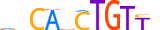 MYOD1.H13INVITRO.1.PSM.A motif logo (MYOD1 gene, MYOD1_HUMAN protein)