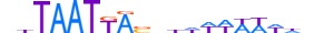 NKX61.H13INVITRO.0.PS.A motif logo (NKX6-1 gene, NKX61_HUMAN protein)