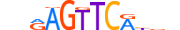 NR1I2.H13INVITRO.1.S.C motif logo (NR1I2 gene, NR1I2_HUMAN protein)