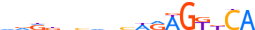 NR1I3.H13INVITRO.0.P.B motif logo (NR1I3 gene, NR1I3_HUMAN protein)