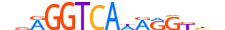 NR2F6.H13INVITRO.2.SM.B motif logo (NR2F6 gene, NR2F6_HUMAN protein)