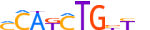 OLIG2.H13INVITRO.1.P.B motif logo (OLIG2 gene, OLIG2_HUMAN protein)