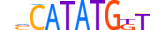 OLIG3.H13INVITRO.0.SM.B motif logo (OLIG3 gene, OLIG3_HUMAN protein)